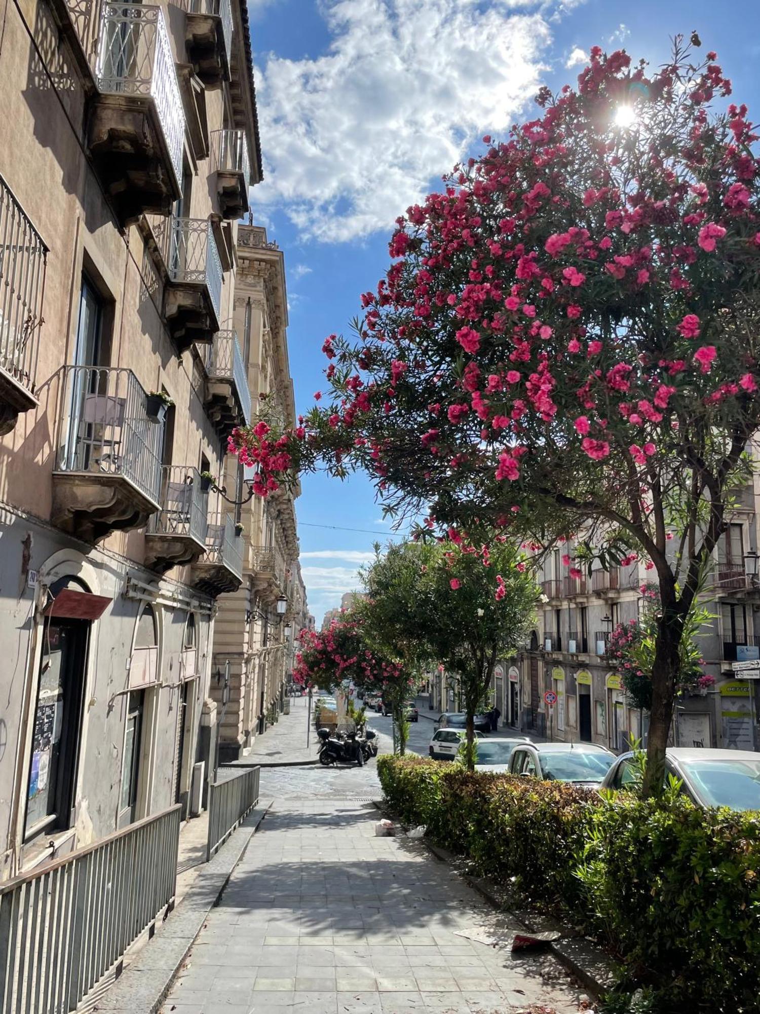 Opera Boutique Bed & Breakfast Katanya Dış mekan fotoğraf