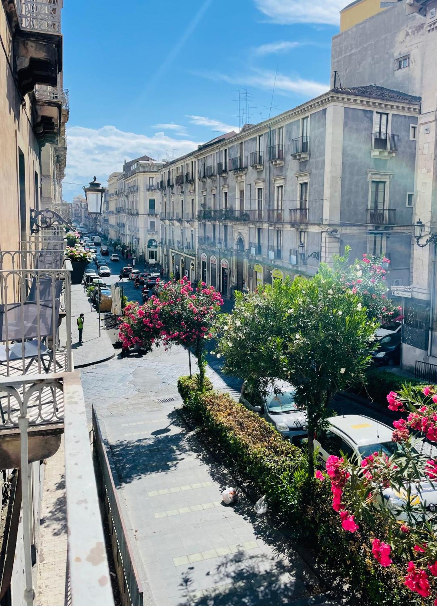 Opera Boutique Bed & Breakfast Katanya Dış mekan fotoğraf